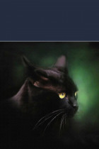Черный кот на английском языке